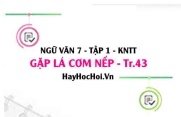 Soạn bài Gặp lá cơm nếp trang 43 lớp 7 Kết nối tri thức tập 1